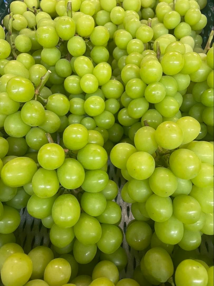 【山梨県産】シャインマスカット　4キロ　シャインマスカット