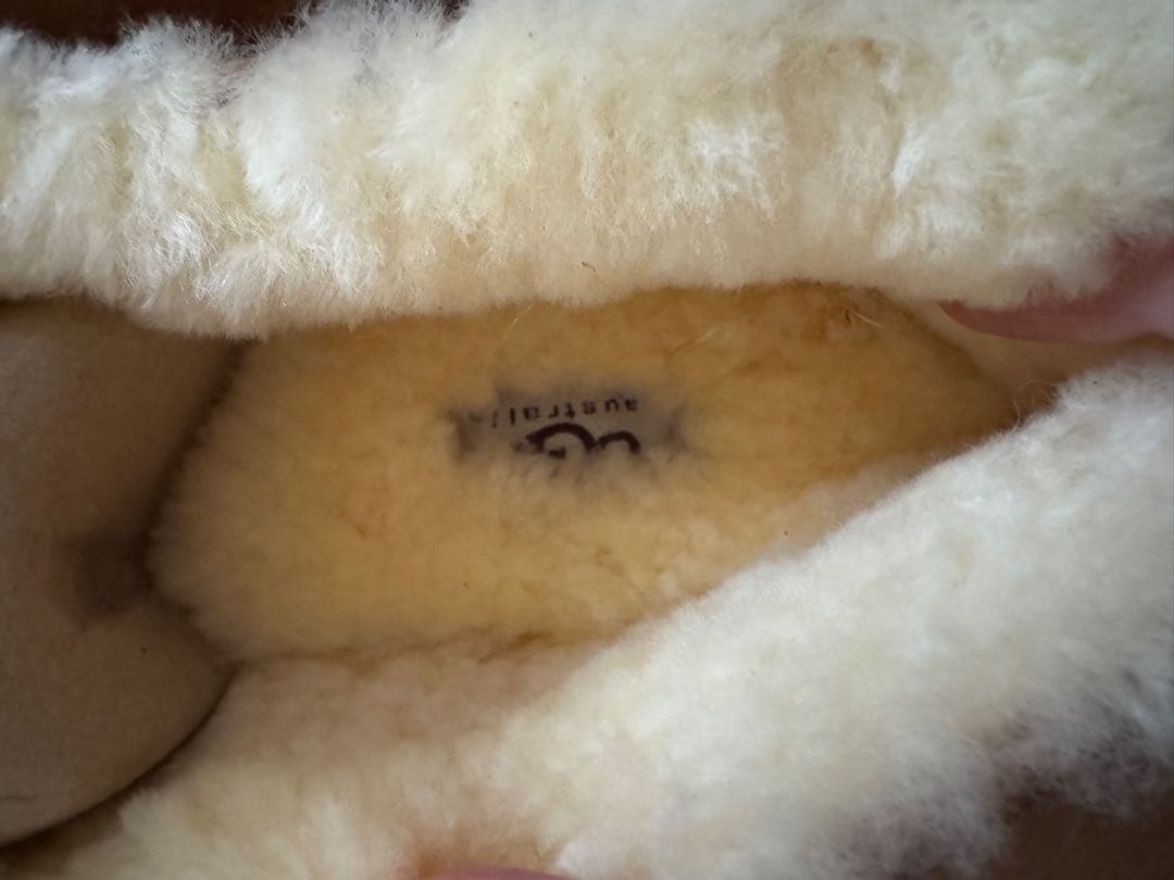 UGG DAKOTA チェスナット