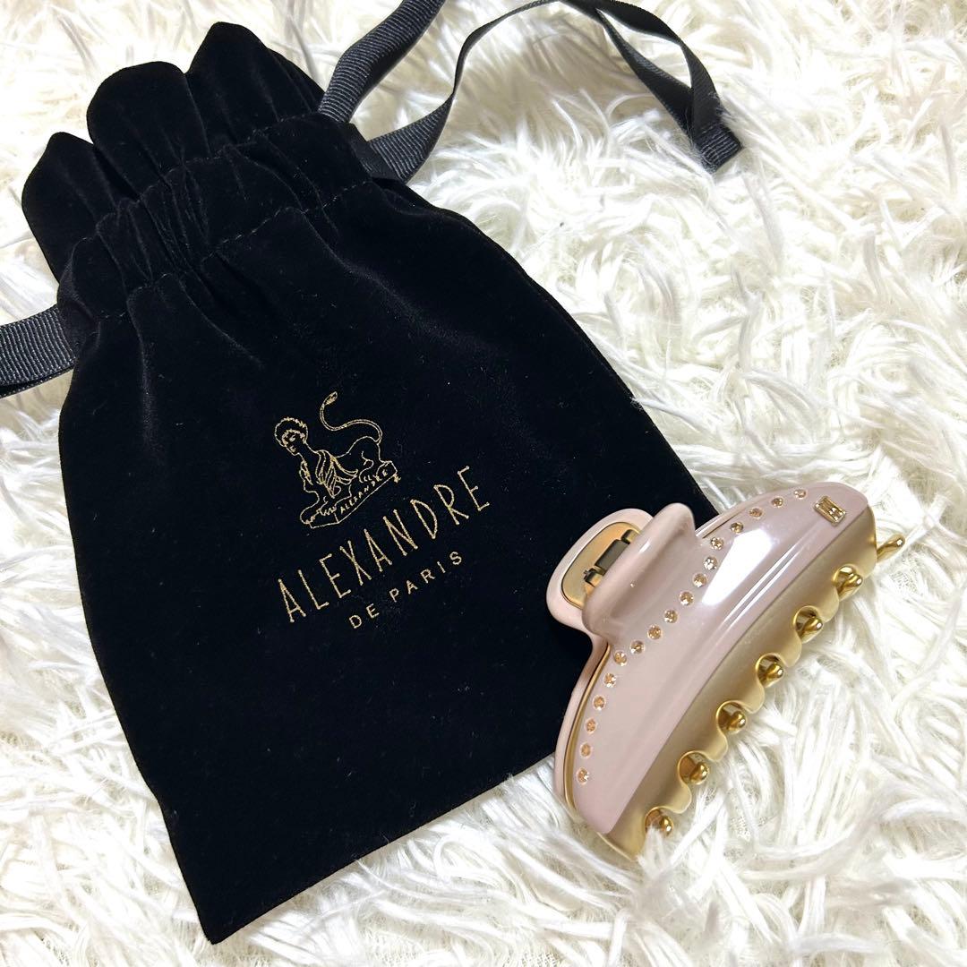 未使用級✨アレクサンドルドゥパリ スワロ ヘアクリップ
