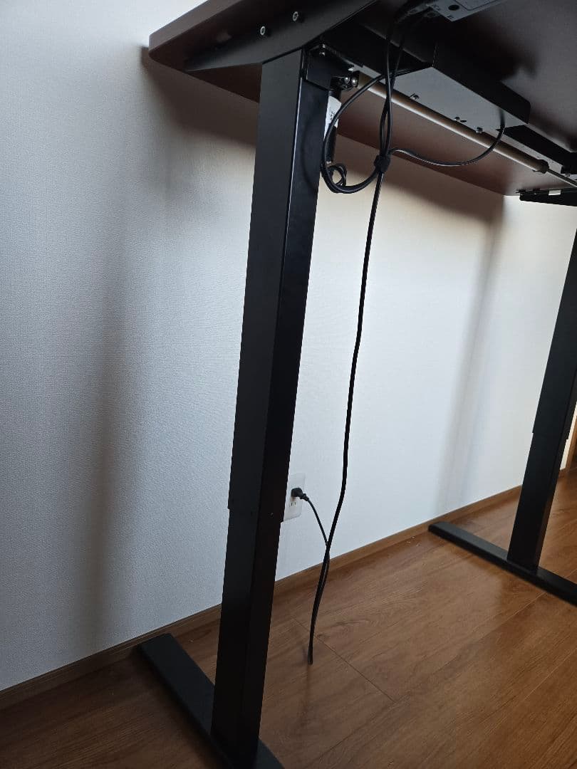 最終処分価格！　FLEXISPOT　EG-1