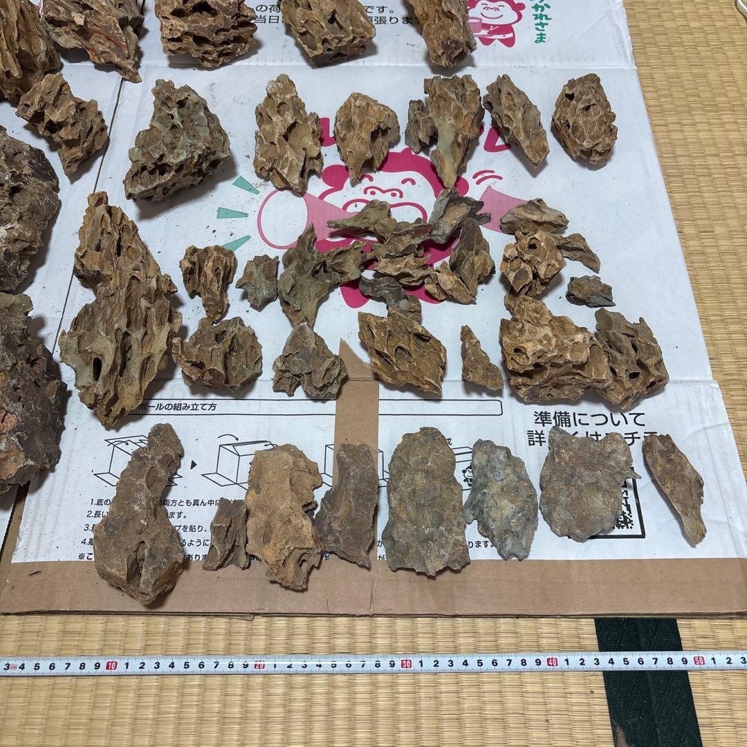 黄虎石　まとめ売り