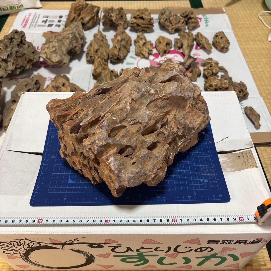 黄虎石　まとめ売り