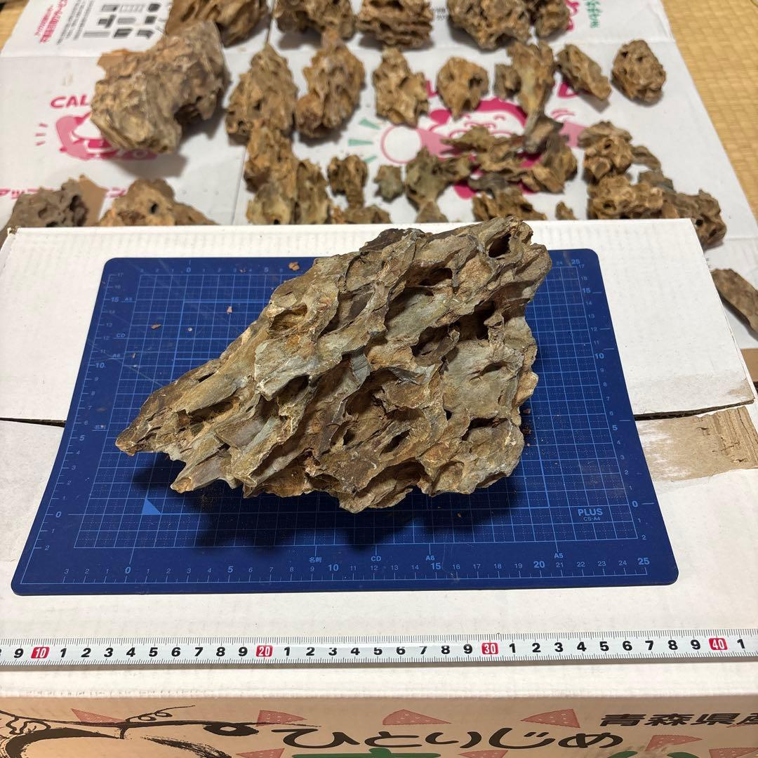 黄虎石　まとめ売り