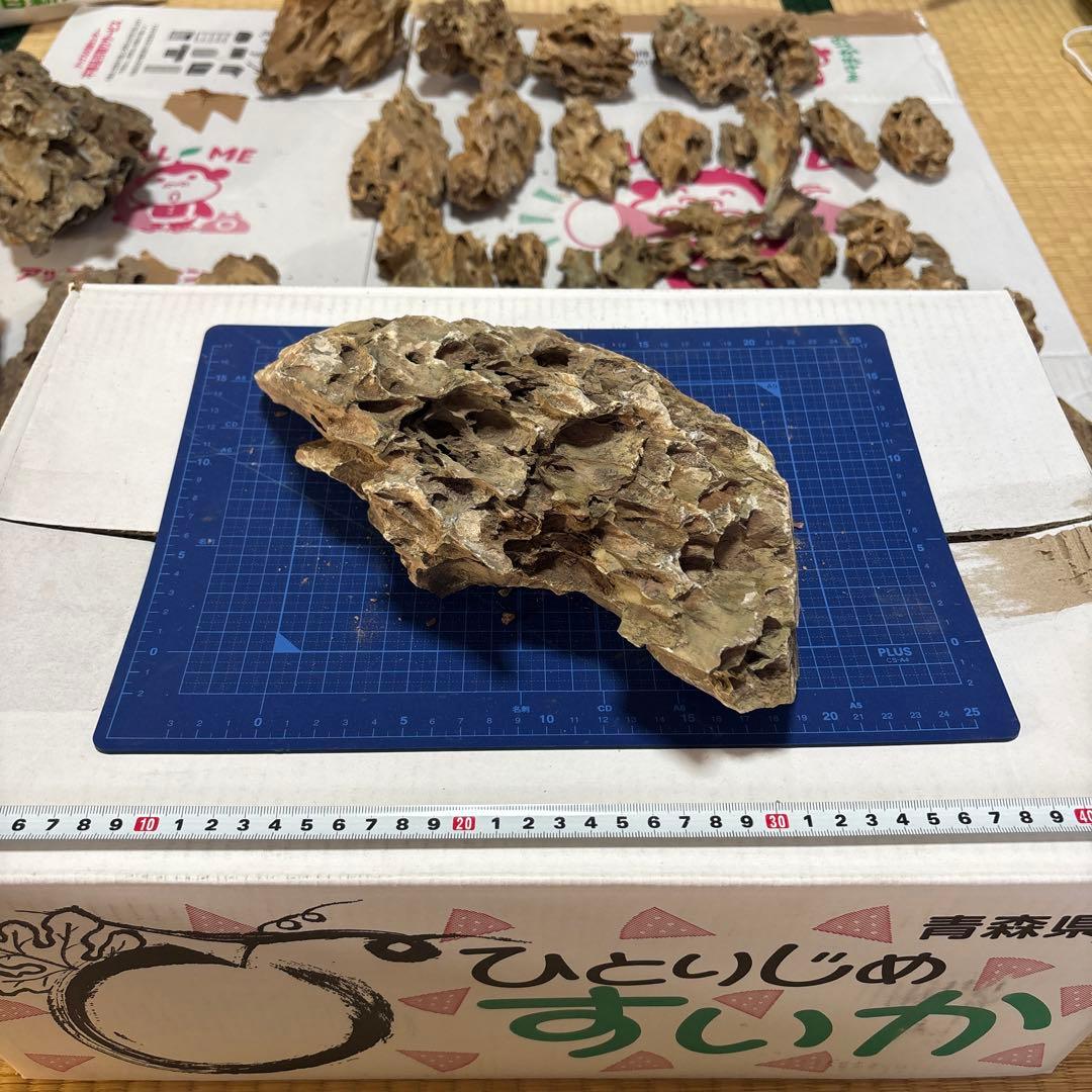 黄虎石　まとめ売り