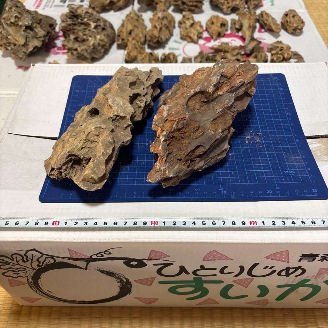 黄虎石　まとめ売り