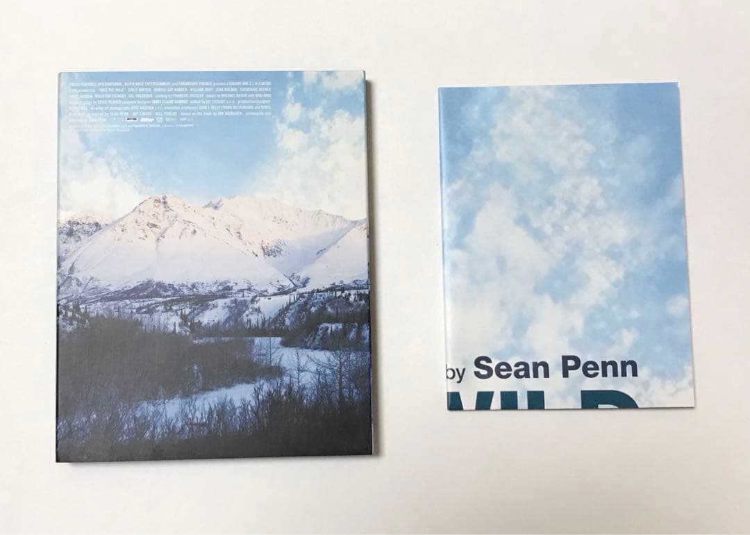 【Blu-ray】イントゥ・ザ・ワイルド