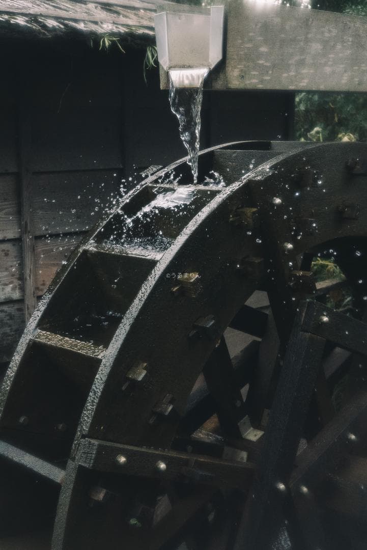 銘玉！Leica Summicron 50mm 1st Collapsible