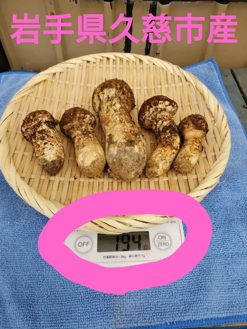 岩手県久慈市産【つぼみ、特産品、松茸】194g