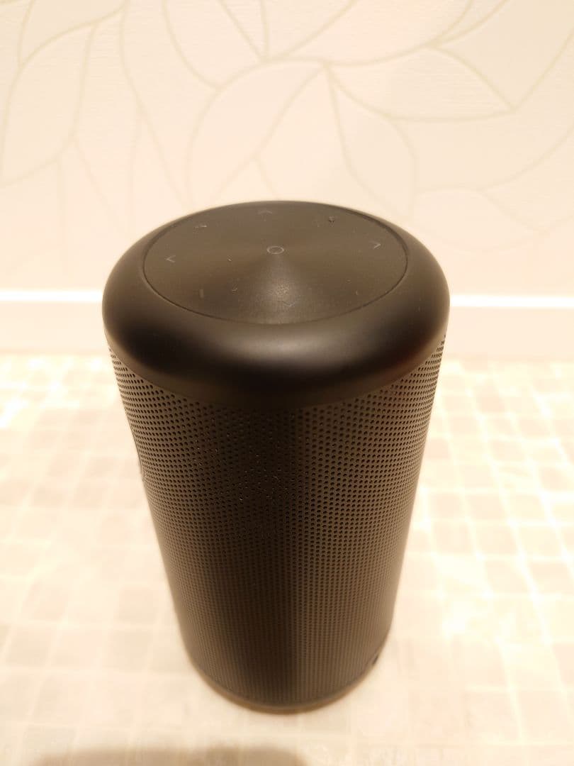 Nebula Capsule II プロジェクター キャリーケース