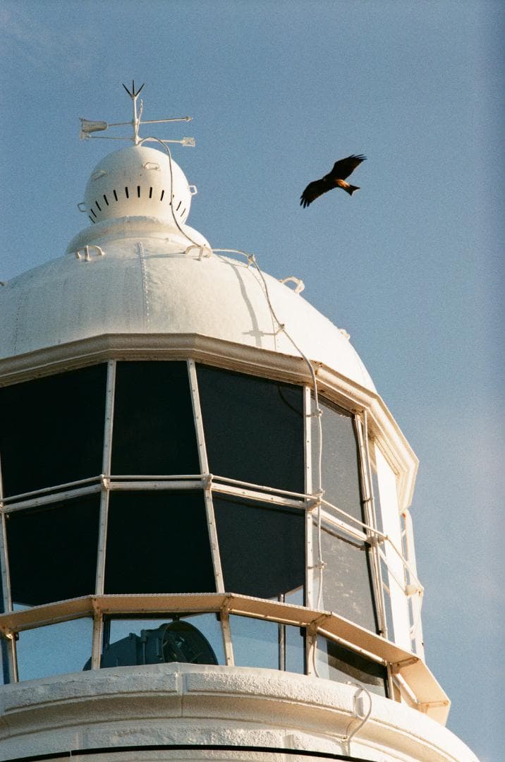 作例あり★フイルム実写OK／ボディ＋望遠レンズ PENTAX SP ペンタックス