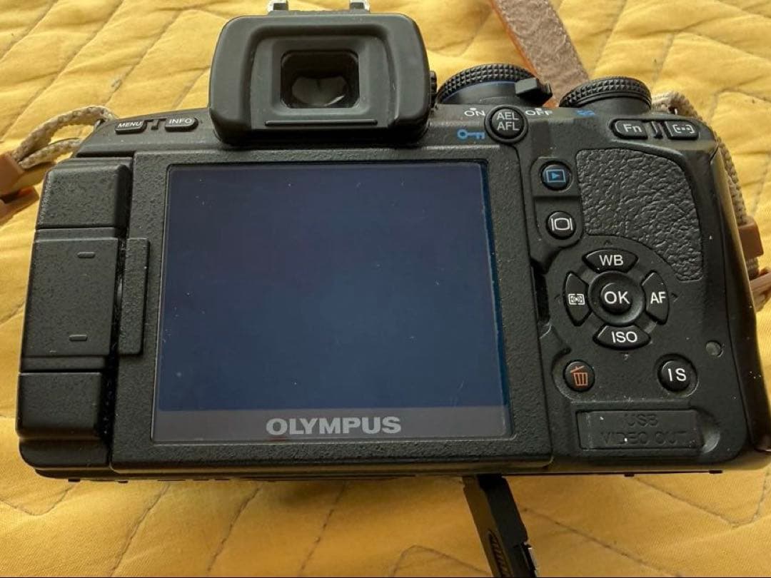 Olympus E-620ミラーレスカメラ本体　リモコンRM1付き
