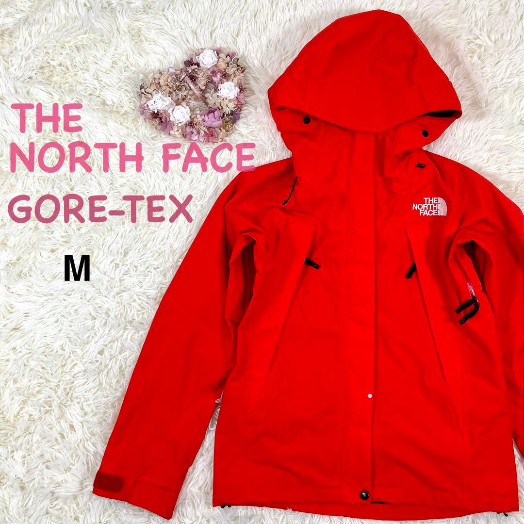 THE NORTH FACE GORE-TEX マウンテンジャケット M