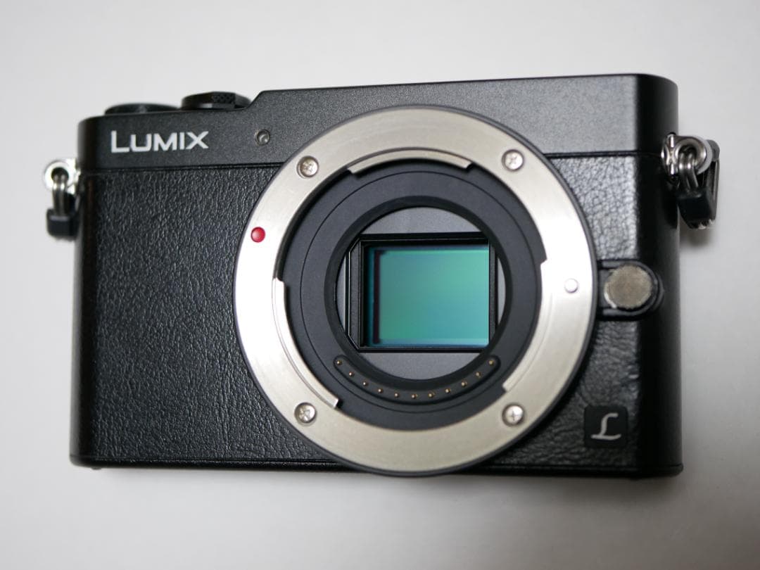 lumix gm5 ズームレンズキット