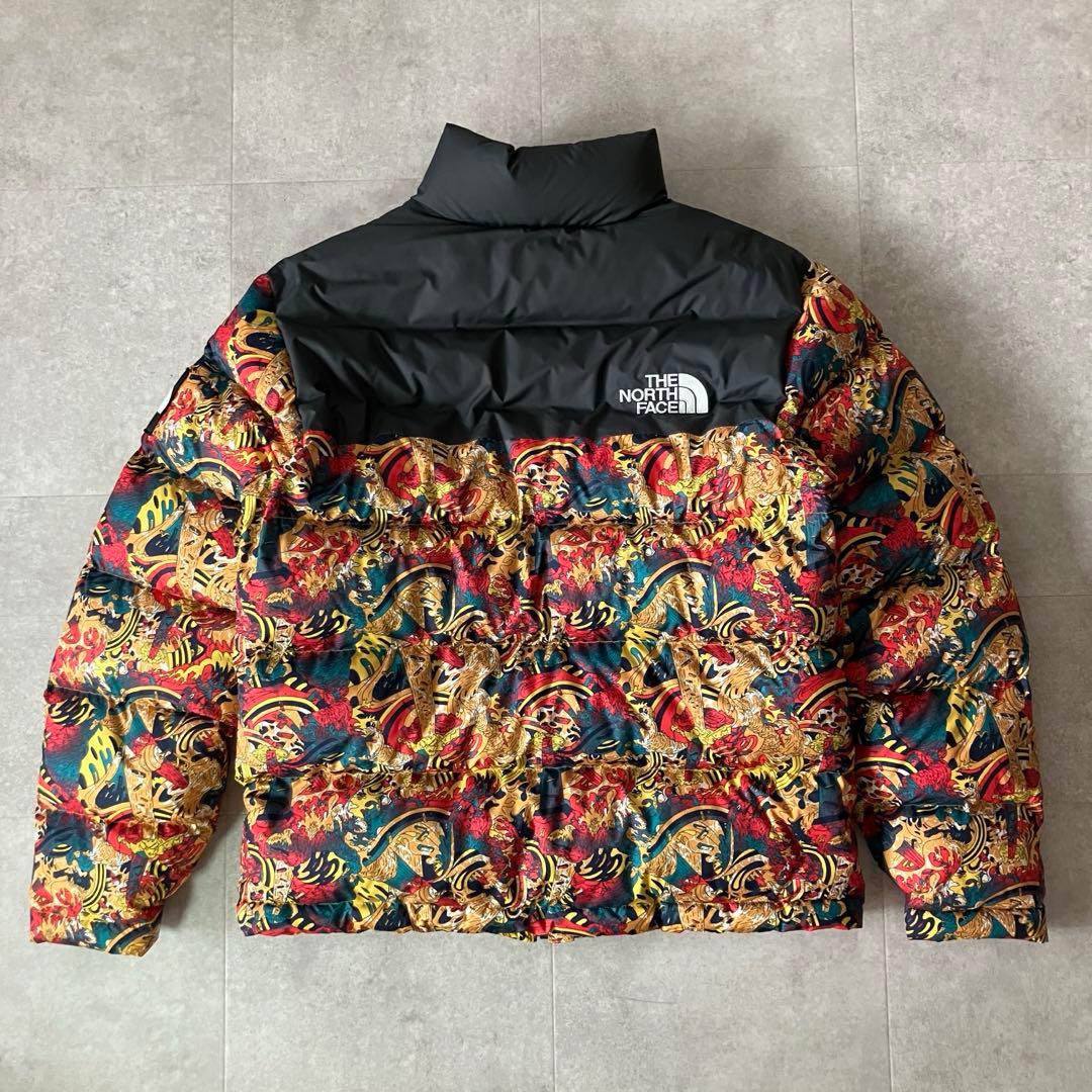 日本未発売 ノースフェイス 総柄 マルチカラー ダウンジャケット/M