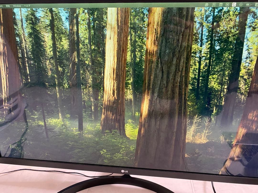 LG ディスプレイ モニター