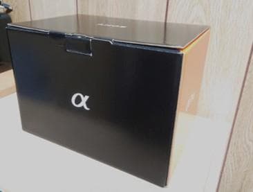 【美品】SONY α７RⅤ ILCE-7RM5（L字プレート＆深型アイカップ付）