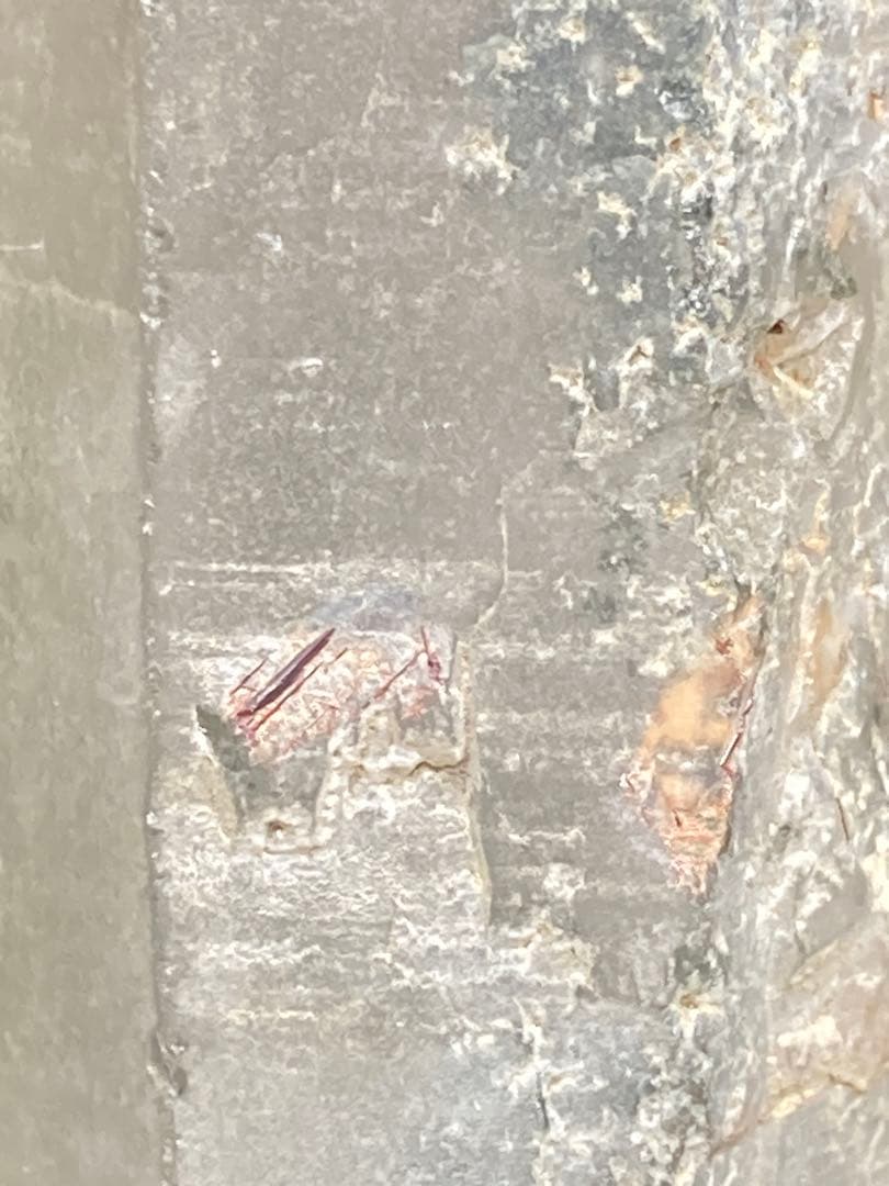 ブラウンルチル 共生 水晶 ヒマラヤ産 希少 クローライト ガーデンクォーツ