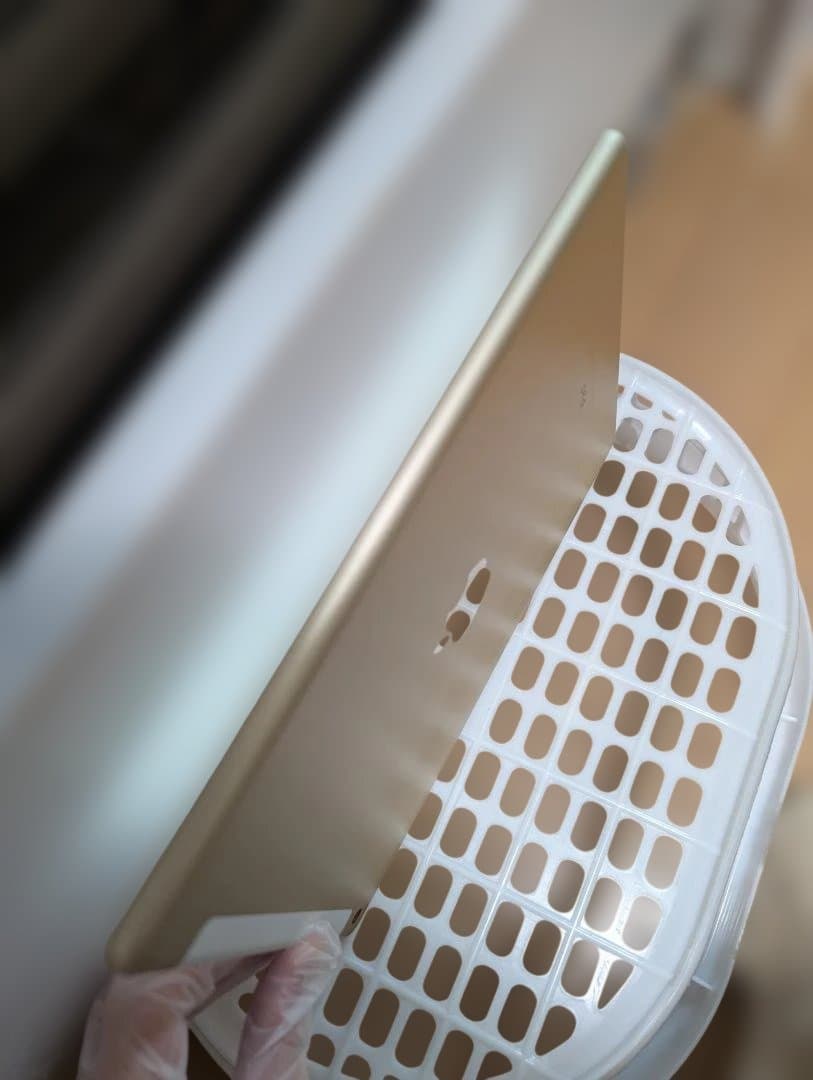 Apple iPad 第5世代(2017) A1823 128GB