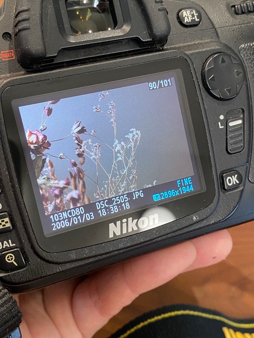 Nikon D80 デジタル一眼 AF Nikkor35-70レンズ付 動作品