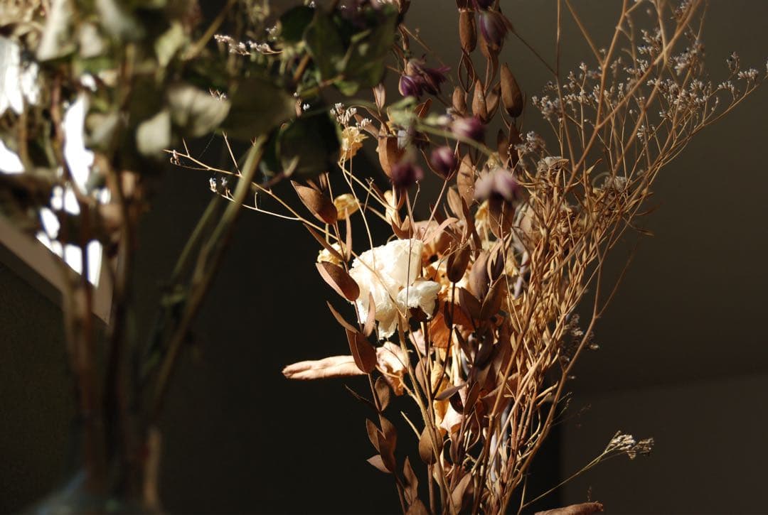 Nikon D80 デジタル一眼 AF Nikkor35-70レンズ付 動作品