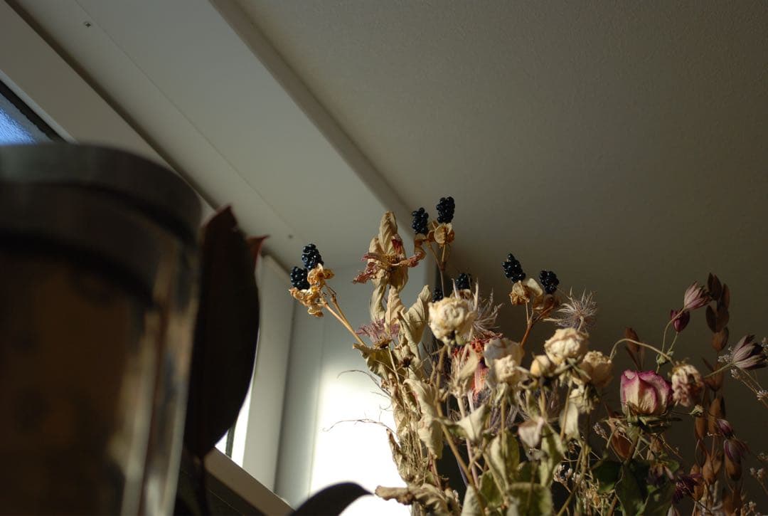 Nikon D80 デジタル一眼 AF Nikkor35-70レンズ付 動作品