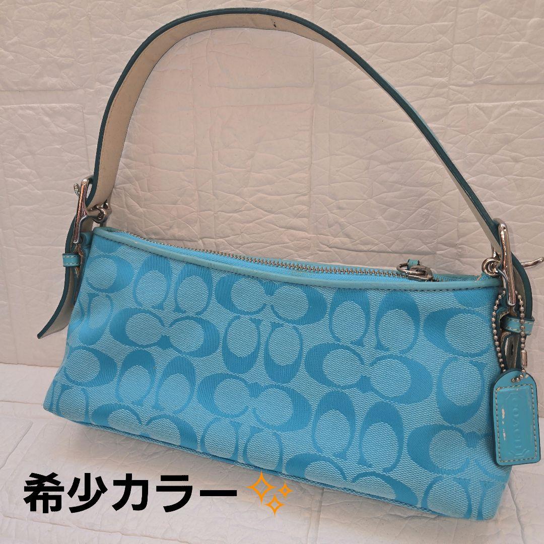 P*?様 COACH アクセサリーポーチ　ハンドバッグ　シグネチャー　キャンバス