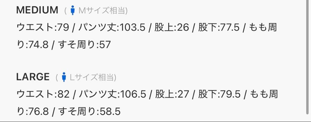 【即日配送】LAPIIS きゅうさん着用