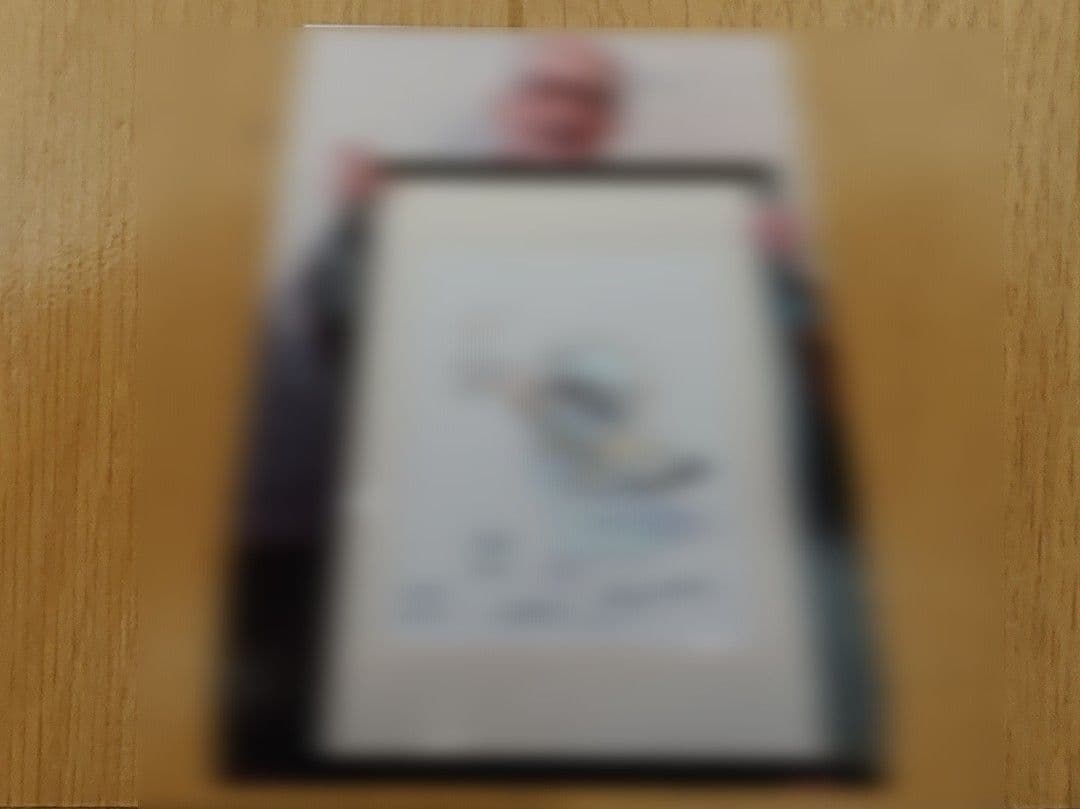 藤城清治　大型直筆画「天国のアラメ」