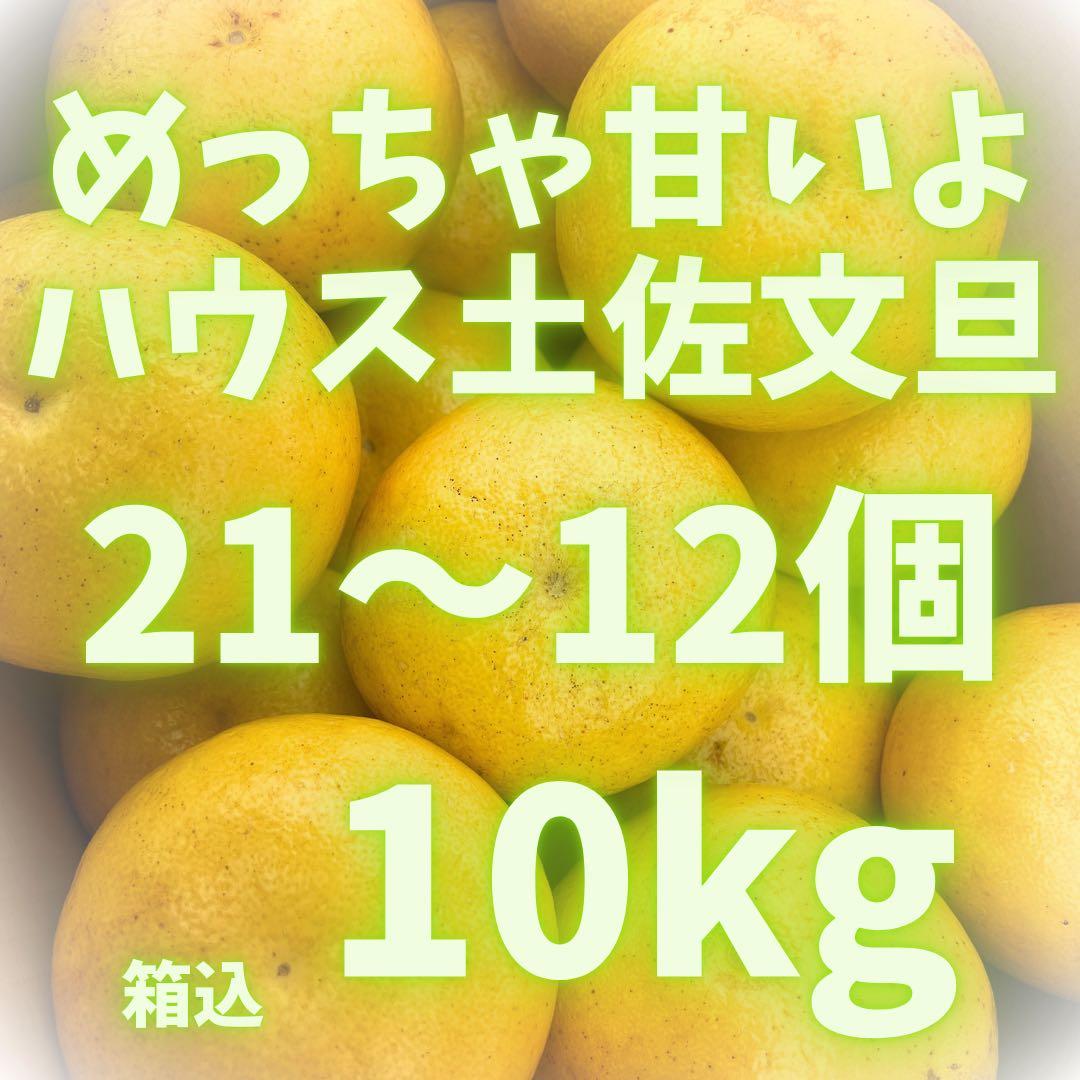 文旦　土佐文旦　ハウス栽培　　38