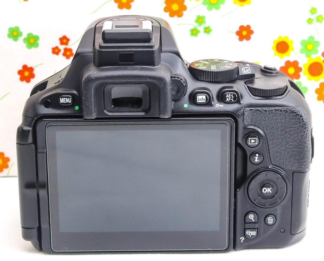 Nikon D5500☆Wi-Fi内蔵☆高性能一眼レフ☆自撮り可能☆ダブルレンズ