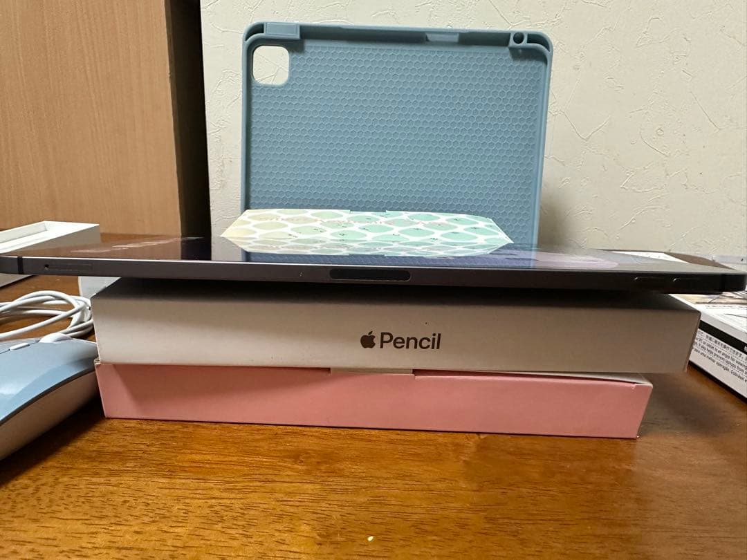 【極美品】 ipad pro 11インチ 第2世代 256GB SIM フリー