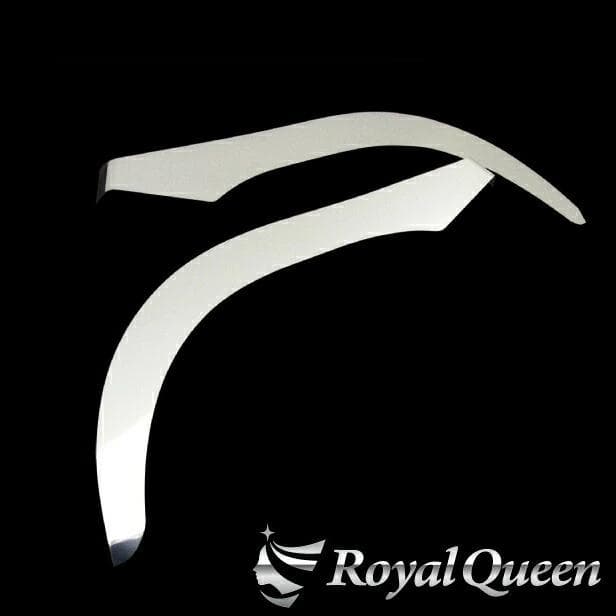 0658 日野 新型 17プロフィア ローキャブ専用 フェンダーパネル 鏡面