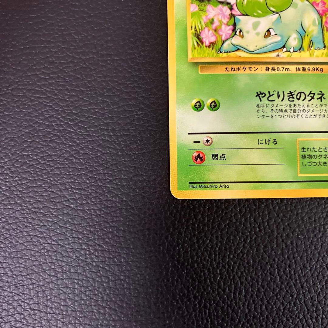 フシギダネ　旧裏　初版　マークなし　ポケモンカード