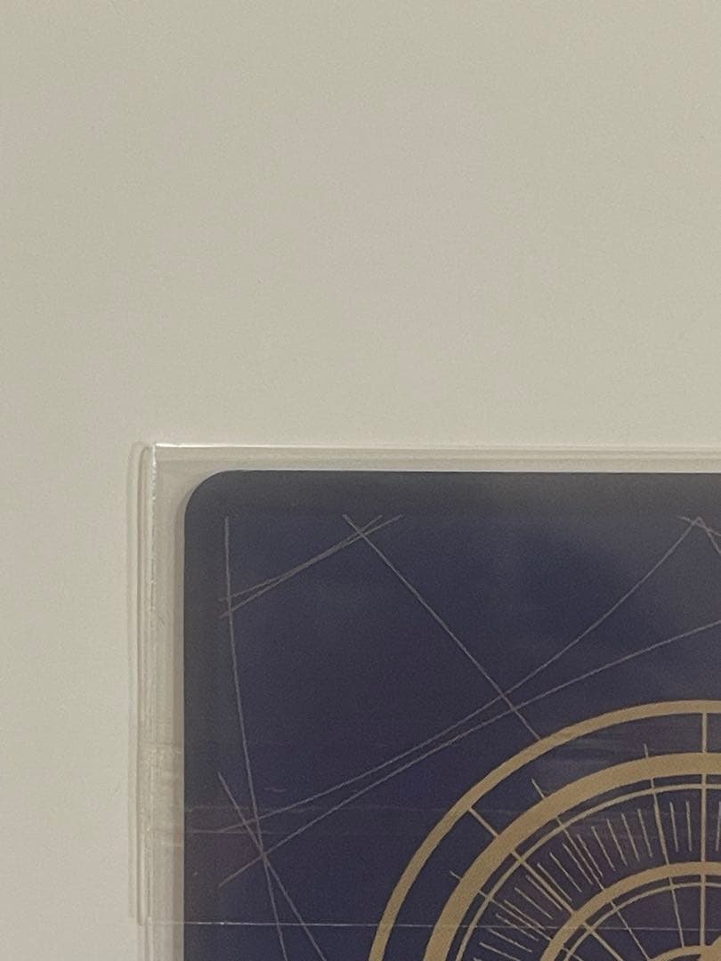 未開封！フラッグシップ　ゾロ