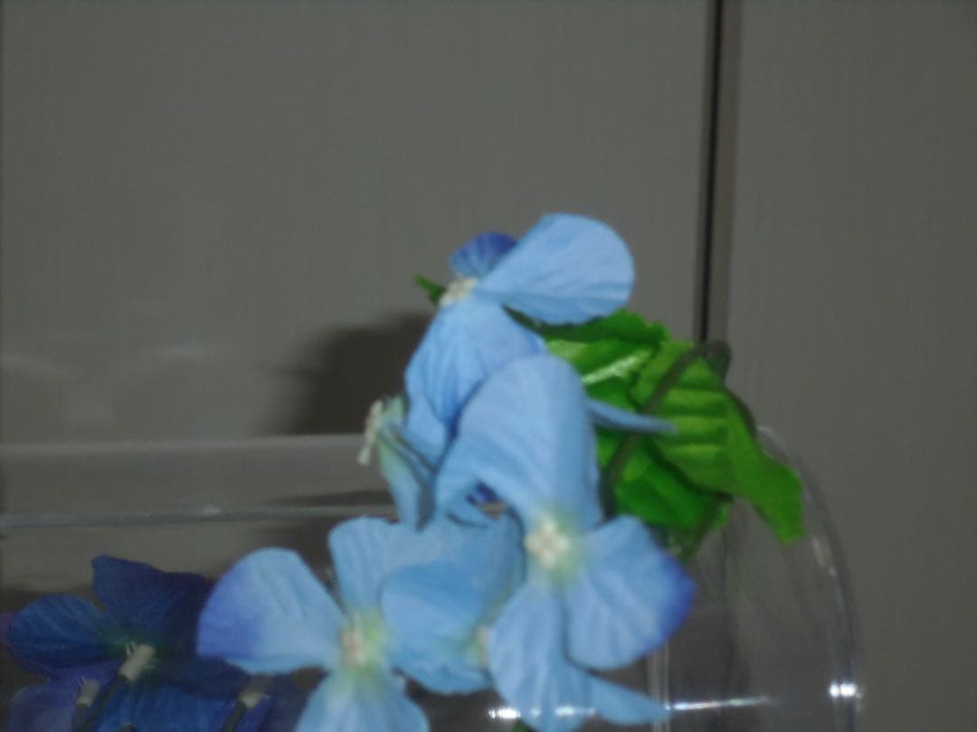 SONY cyberShot DSC-W810 SDカード　コンデジ　動作品