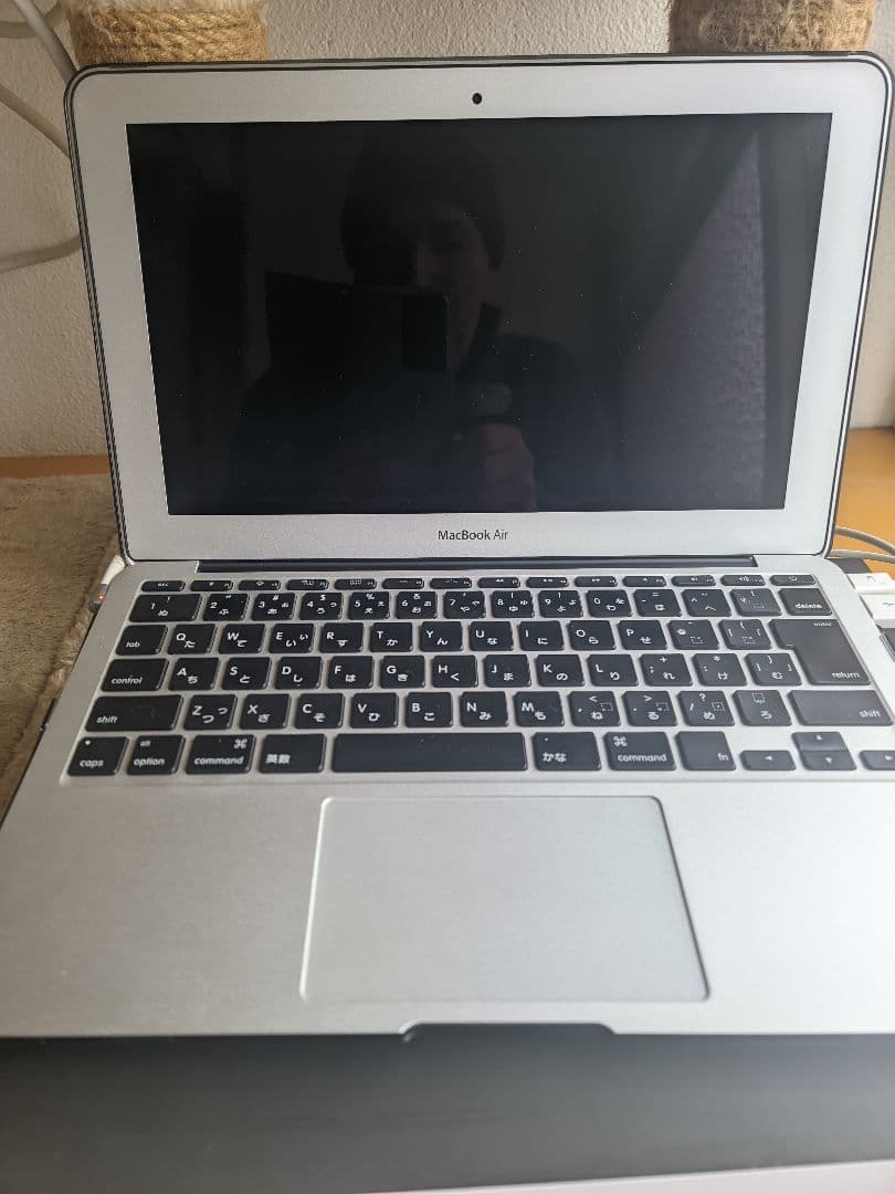 ディスプレイ・モニター本体 apple work station pro