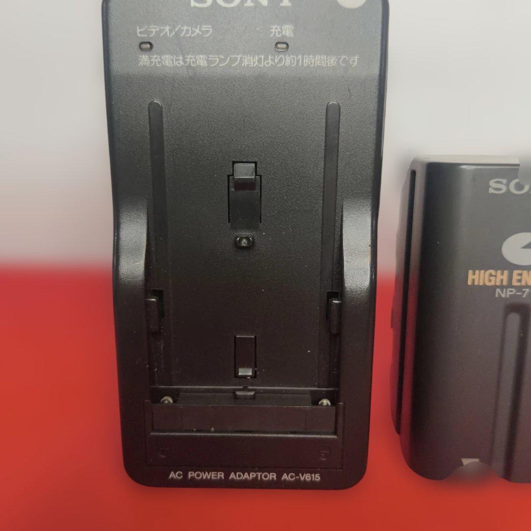 【動作確認済】SONY ソニー DCR-VX1000 Mini DV