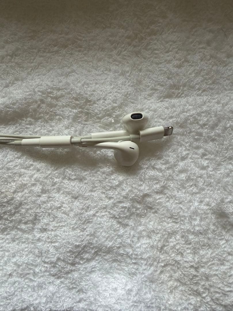 Apple iPhone 14 Pro イヤフォン、充電ケーブル付