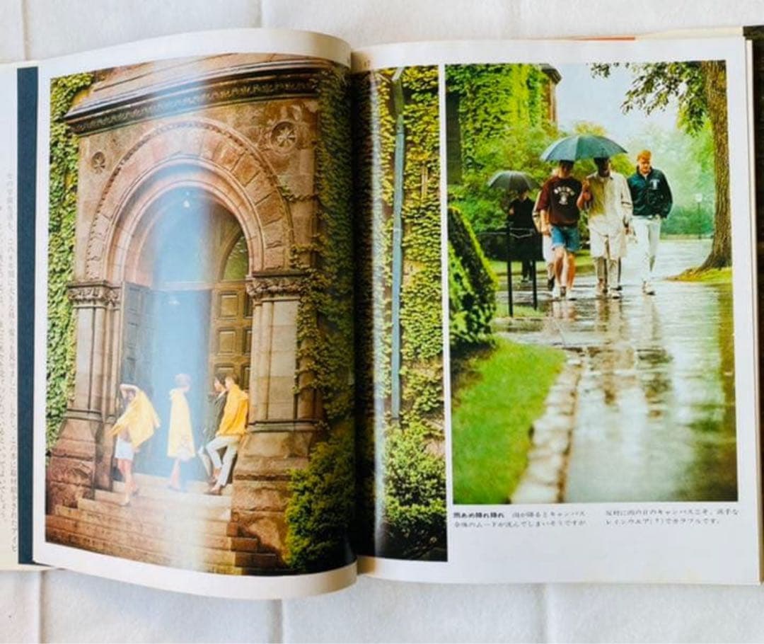 TAKE IVY 昭和48年復刻版