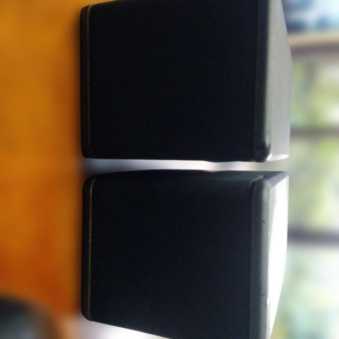 BOSE 301AVモニター スピーカー 黒