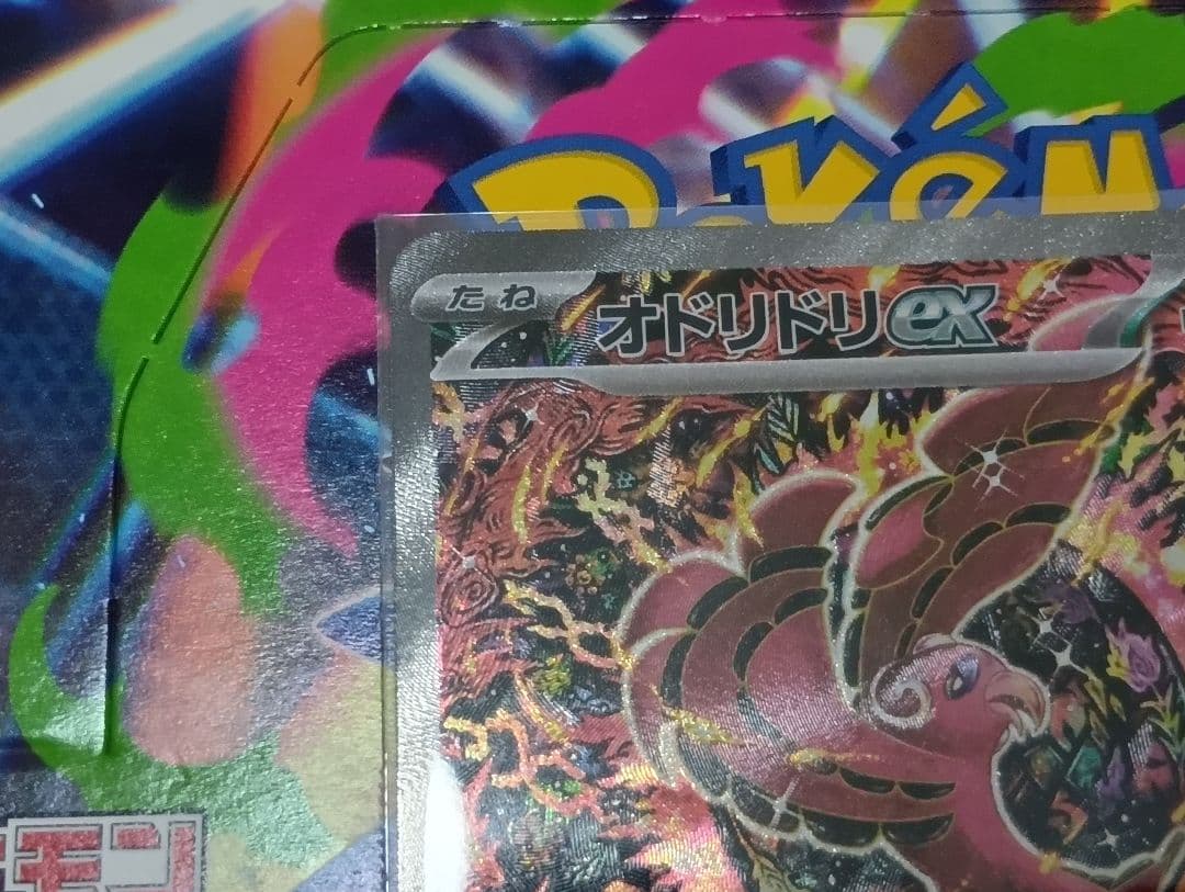 オドリドリex SAR美品