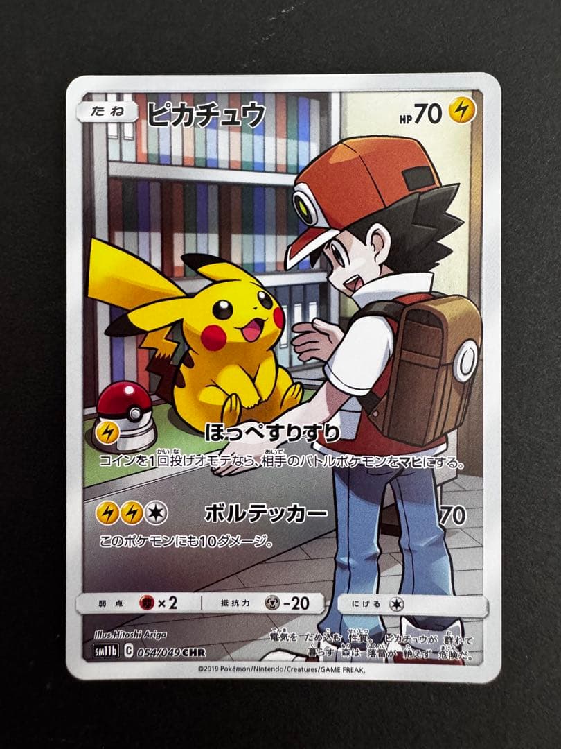 ピカチュウchr ポッチャマchr 2枚セット