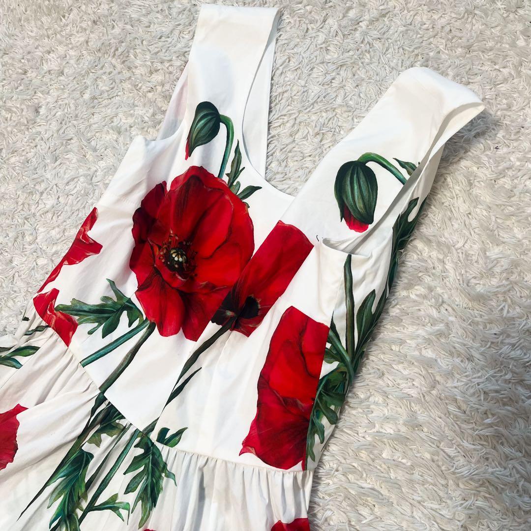 DOLCE&GABBANA ポピーサークル ポプリンドレス 花柄 42