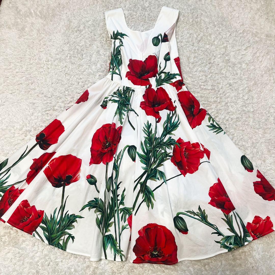 DOLCE&GABBANA ポピーサークル ポプリンドレス 花柄 42