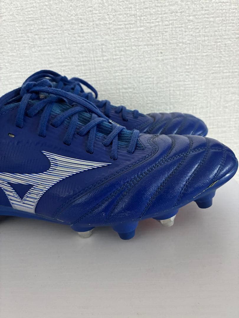 モレリアネオ3β MIX 26センチ　値段交渉⭕️