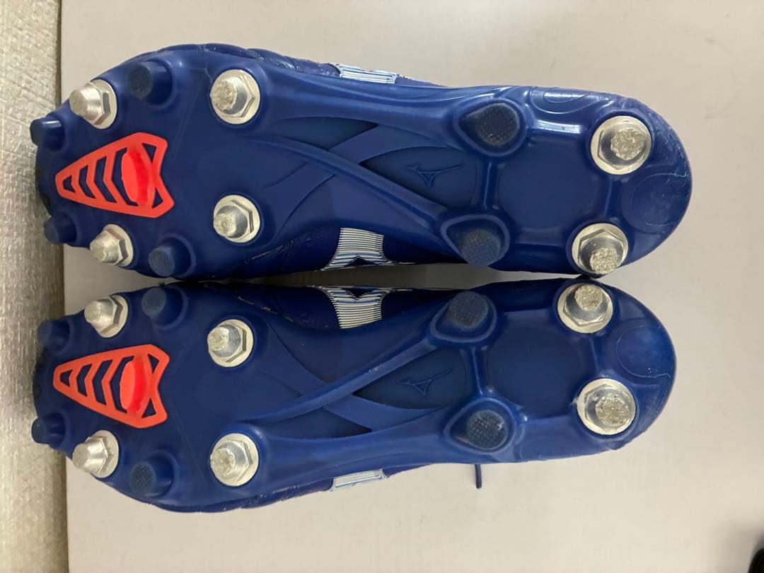 モレリアネオ3β MIX 26センチ　値段交渉⭕️