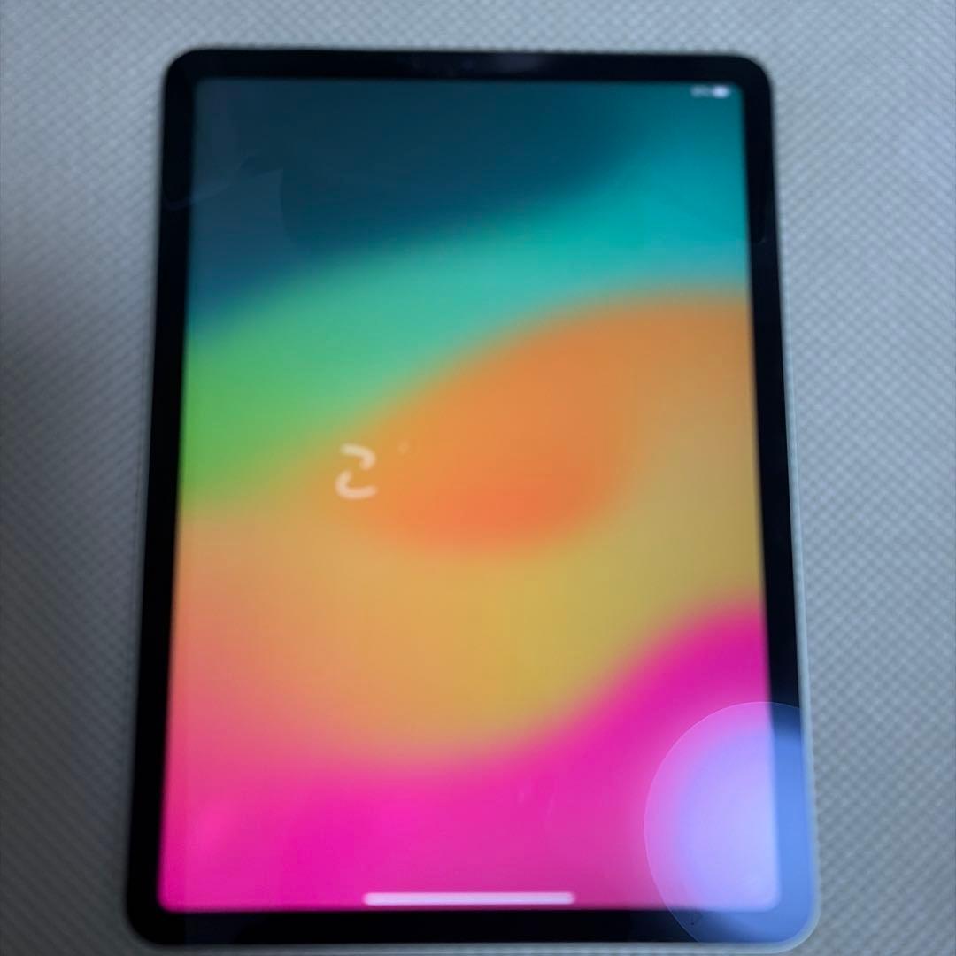 Apple iPad Air本体