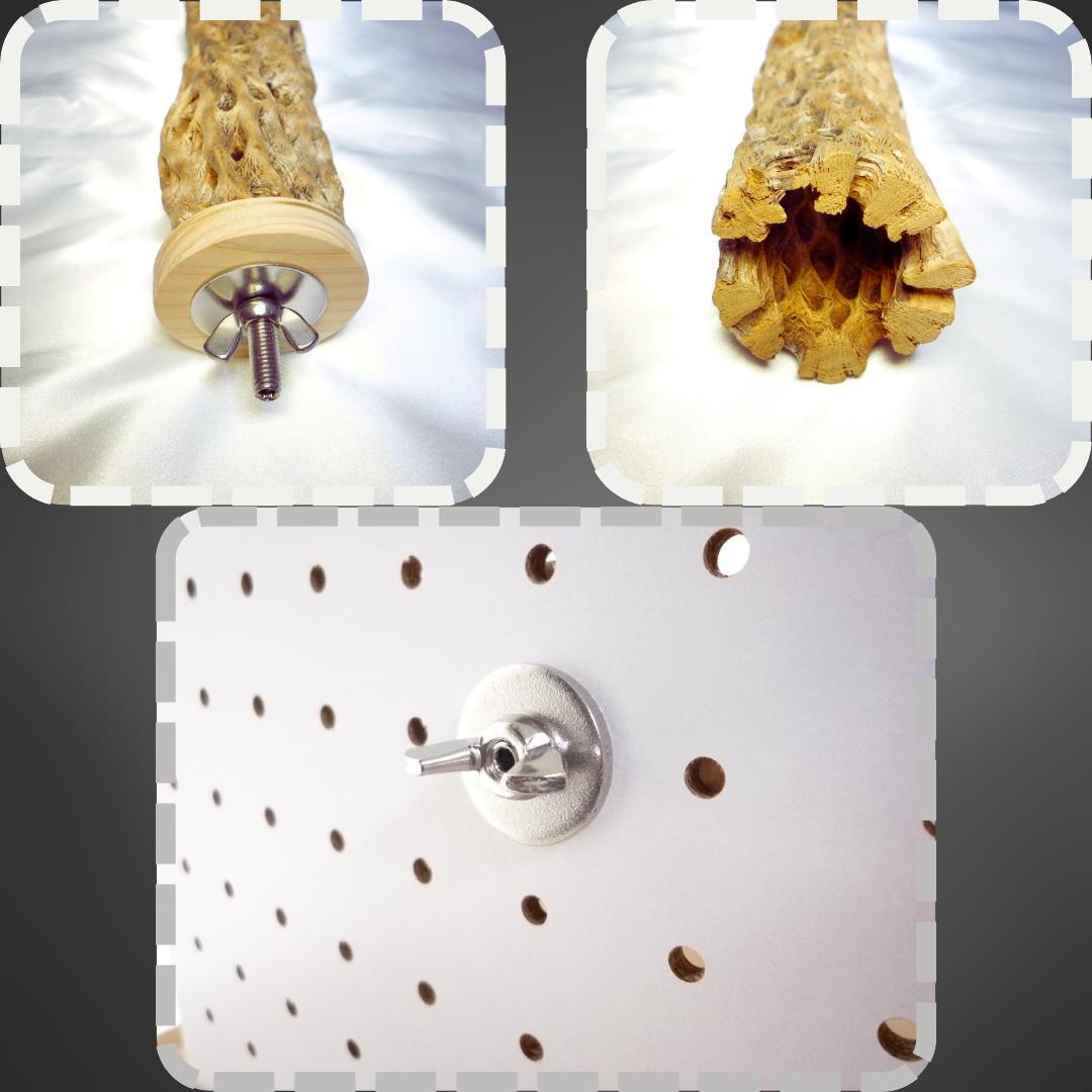 リバティ☆さま専用カクタス　パーチ　特注品