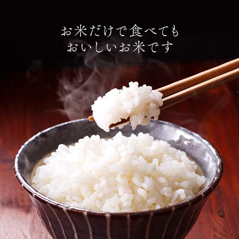 宮城県産 令和7年産 ひとめぼれ 玄米30kg 精米可能（27㎏） 沖縄離島不可