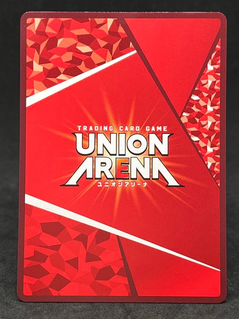 仮面ライダー龍騎サバイブ SR パラレル 星2 ユニオンアリーナ ユニアリ ★★